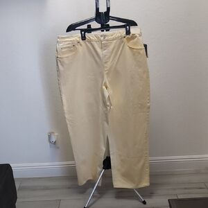 Universal Thread Women's Cream Chinos